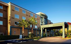 Courtyard Tampa Oldsmar
